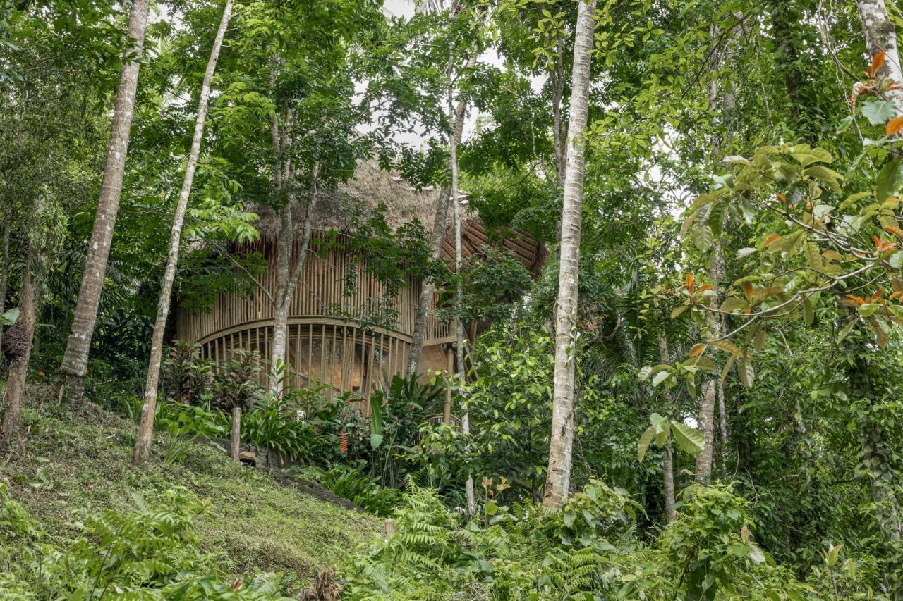 Amarta Pesagi Retreat Tabanan Villa Esterno foto